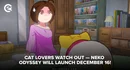 2024 11 21 11 51 news