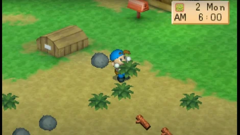 Cropped Harvest Moon