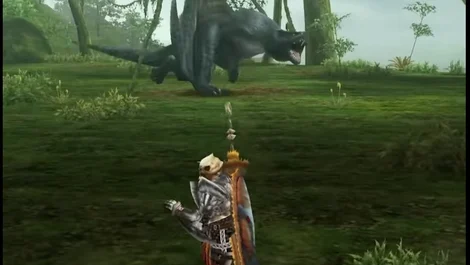 Cropped Monster Hunter Freedom Unite
