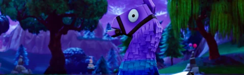 Llamamobile