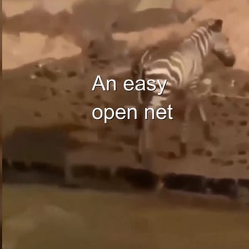 Opennet